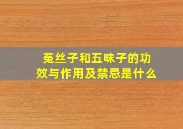 菟丝子和五味子的功效与作用及禁忌是什么