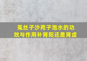 菟丝子沙苑子泡水的功效与作用补肾阳还是肾虚