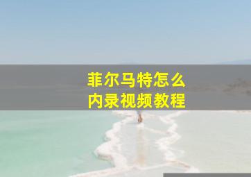 菲尔马特怎么内录视频教程