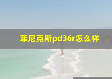 菲尼克斯pd36r怎么样