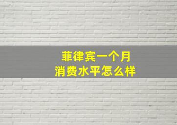 菲律宾一个月消费水平怎么样