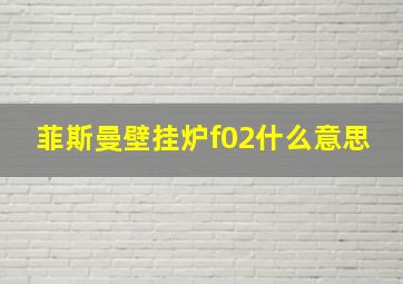 菲斯曼壁挂炉f02什么意思