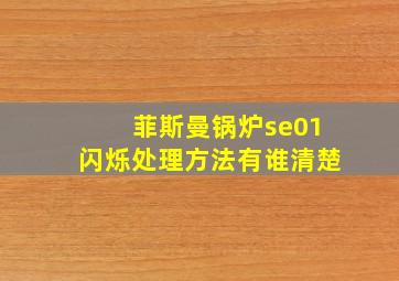 菲斯曼锅炉se01闪烁处理方法有谁清楚