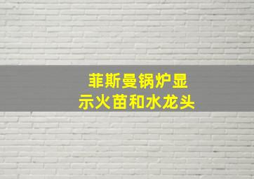 菲斯曼锅炉显示火苗和水龙头