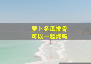 萝卜冬瓜排骨可以一起炖吗