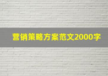 营销策略方案范文2000字