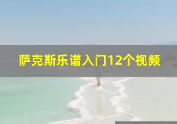 萨克斯乐谱入门12个视频