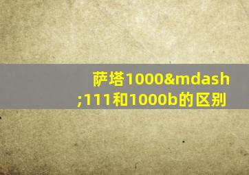 萨塔1000—111和1000b的区别