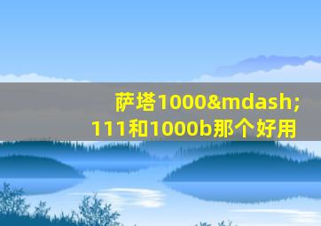 萨塔1000—111和1000b那个好用