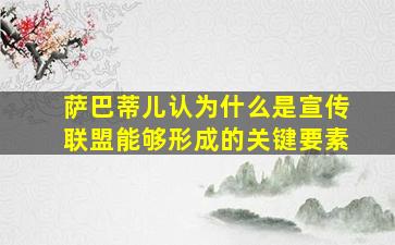 萨巴蒂儿认为什么是宣传联盟能够形成的关键要素