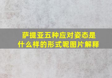 萨提亚五种应对姿态是什么样的形式呢图片解释