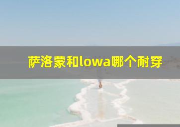 萨洛蒙和lowa哪个耐穿