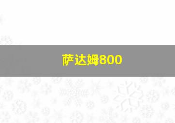 萨达姆800