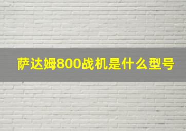 萨达姆800战机是什么型号