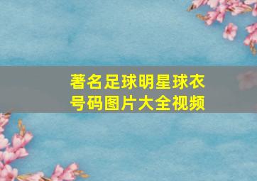 著名足球明星球衣号码图片大全视频