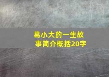 葛小大的一生故事简介概括20字