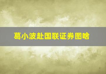 葛小波赴国联证券图啥