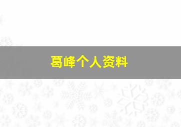 葛峰个人资料