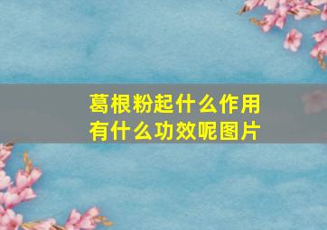 葛根粉起什么作用有什么功效呢图片