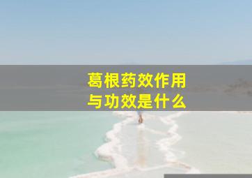 葛根药效作用与功效是什么