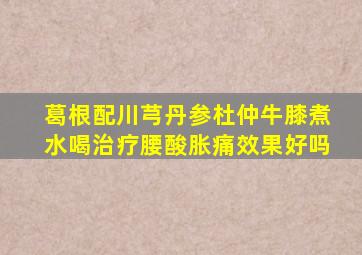 葛根配川芎丹参杜仲牛膝煮水喝治疗腰酸胀痛效果好吗