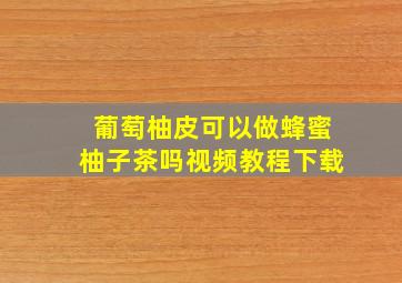 葡萄柚皮可以做蜂蜜柚子茶吗视频教程下载