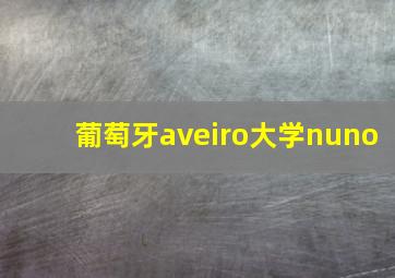 葡萄牙aveiro大学nuno