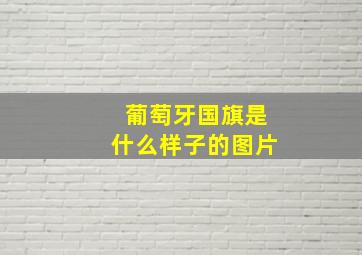 葡萄牙国旗是什么样子的图片