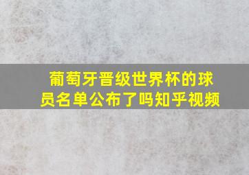 葡萄牙晋级世界杯的球员名单公布了吗知乎视频