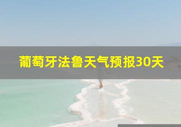 葡萄牙法鲁天气预报30天