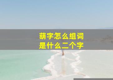 葫字怎么组词是什么二个字