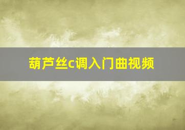 葫芦丝c调入门曲视频