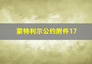 蒙特利尔公约附件17