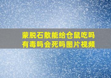 蒙脱石散能给仓鼠吃吗有毒吗会死吗图片视频