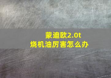 蒙迪欧2.0t烧机油厉害怎么办