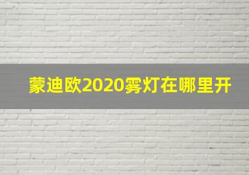 蒙迪欧2020雾灯在哪里开