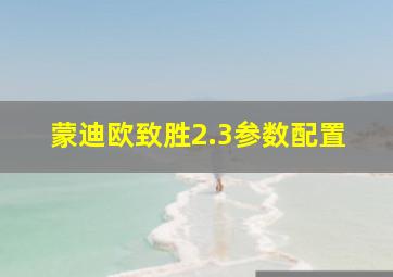 蒙迪欧致胜2.3参数配置