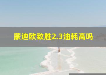 蒙迪欧致胜2.3油耗高吗