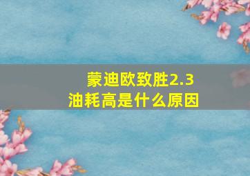 蒙迪欧致胜2.3油耗高是什么原因