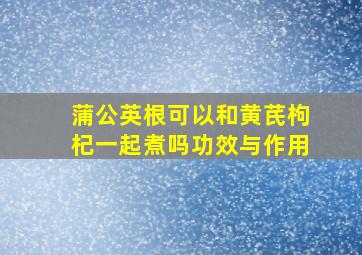 蒲公英根可以和黄芪枸杞一起煮吗功效与作用