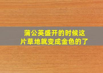 蒲公英盛开的时候这片草地就变成金色的了