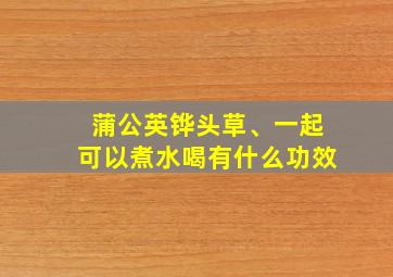 蒲公英铧头草、一起可以煮水喝有什么功效