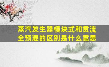 蒸汽发生器模块式和贯流全预混的区别是什么意思