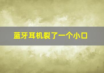 蓝牙耳机裂了一个小口