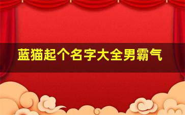 蓝猫起个名字大全男霸气