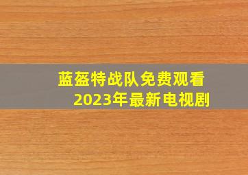 蓝盔特战队免费观看2023年最新电视剧