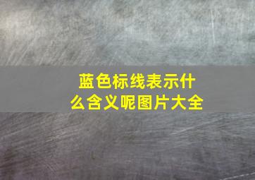 蓝色标线表示什么含义呢图片大全