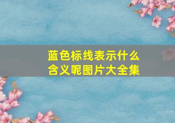 蓝色标线表示什么含义呢图片大全集