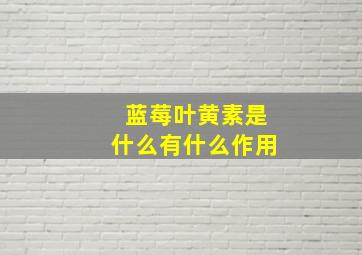 蓝莓叶黄素是什么有什么作用