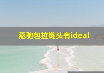 蔻驰包拉链头有ideal